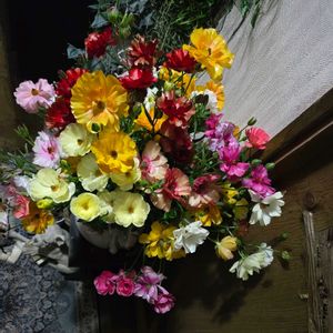 ラナンキュラス　ラックス,切り花を楽しむ,極狭庭,自己大満足♡,ラブリー♡加速中の画像