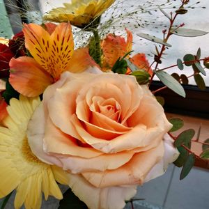 ガーベラ,バラ,ユーカリ,スプレーバラ,アリストロメリアの画像