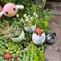 ニシキギ,ムクゲ,日本サクラソウ,イースター,B型の画像