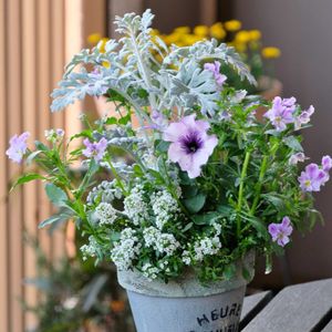 ベランダガーデニング,癒し…♡,可愛い❤,自作リメ鉢,お花のある暮らしの画像