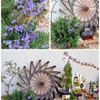 ローズマリー,いつもありがとう♡,水車,多肉女子,GSの繋がりに感謝♡の画像