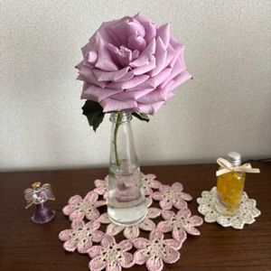 ミモザ,ミモザ,切り花のバラ,バラ「藤娘」,バラ「藤娘」の画像