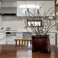 桜,花のある暮らし,安曇野の春,信州の春,魔女の生活の画像