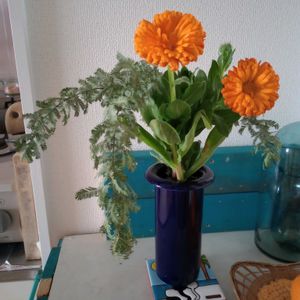 観葉植物,一輪挿し,花瓶,花束,花のある暮らしの画像