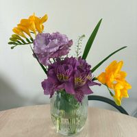 アルストロメリア,トルコキキョウ,トルコキキョウ,フリージア,キッチンの画像