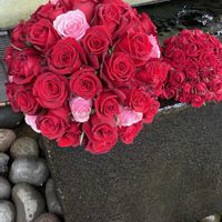 バラ,アレンジ,散歩道,手水舎,神社の画像