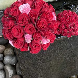 バラ,アレンジ,散歩道,手水舎,神社の画像