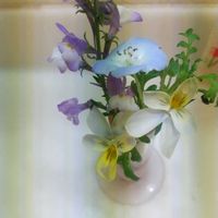 リナリアの画像