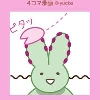 サクラ,雅楽の舞,月兎耳,聖園,多肉植物の画像