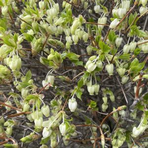 エクステリアの画像