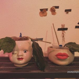 ホヤ(サクララン),ホヤ(サクララン),ホヤ♡,ホヤ♡,ホヤ ビローサの画像