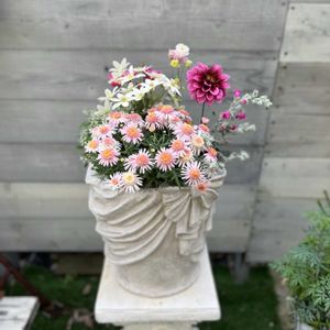 クレマチス  カートマニージョー,ピティロディア フェアリーピンク,ユーフォルビア スノーブリザード,西洋オダマキウィンキー ダブル ローズ&ホワイト,ガルビネア　スウィートフェミーの画像