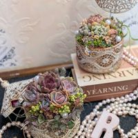 寄せ植え,多肉植物,多肉寄せ植え,ガーデニング,GSのみなさんに感謝♡の画像