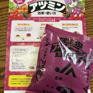 イチゴ,シェードガーデン,真っ赤な花,PR,ズボラガーデナーの画像