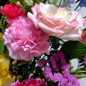 カーネーション,リビング・ダイニングの画像