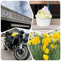 スイセン,岐阜県,道の駅,ちょっと休憩,ジェラート屋さんの画像