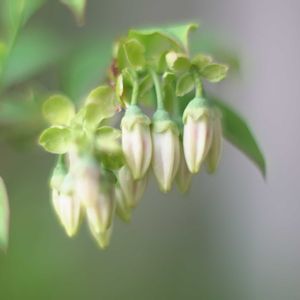 ベランダの画像