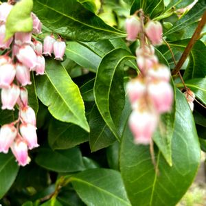 お出かけ先の画像