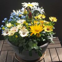 寄せ植え,ガーデニング,ナチュラルガーデン,コンテナガーデン,花のある暮らしの画像