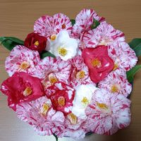 ツバキ,ツバキ,華やか,花手水の画像