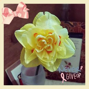 ガーデニング,植物のある暮らし,胸キュン,植物女子,被災地にエールを…。の画像