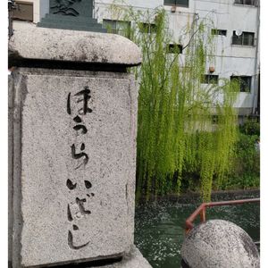 サクラ,シダレヤナギ,ニセカラクサケマン,さくら 桜 サクラ,世界平和の画像