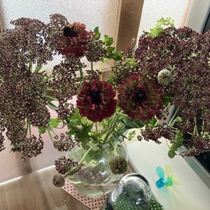 キッチンの画像