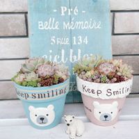 タンジー　ゴールデンフリース,多肉の寄せ植え,植中毒,リメ缶・リメ鉢,手作りリメ鉢リメ缶の画像