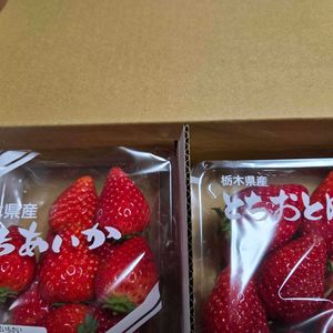 ミニトマト,スイスチャード,アスパラ菜☆,白菜の菜の花,栃木産のいちごの画像