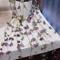 ハートカズラ斑入り《レディハート》,植物のある暮らし,可愛い新芽♡の画像