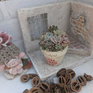 花のある暮らし,チーム福岡,楽しい寄せ植え‼️,玄関アプローチ,お出かけ先の画像