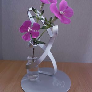 ナデシコ,シレネ ピンクパンサー,一輪挿し,iPhone撮影,asingleflowervaseの画像