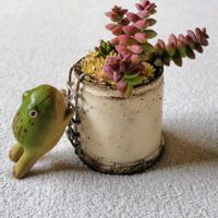 彦星,大好き,お気に入り♡,かわいい♡,嬉しいの画像