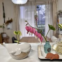 タイツリソウ,ポトス,一輪挿し,芽吹き,今日の一枚の画像