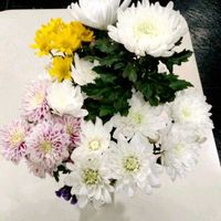 キク,マム,仏壇の供花,父親の祥月命日,横浜の家の画像