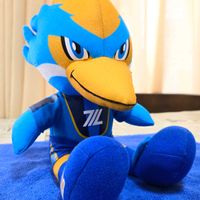 サルビア,ゼルコバ,ちゃちゃ 人気の投稿,Jリーグの画像