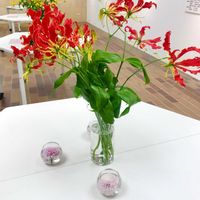 グロリオサ,お出かけ先の画像