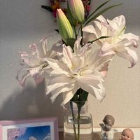 ユリ,オリエンタルリリー,感謝,いつもありがとう♡,生け花の画像