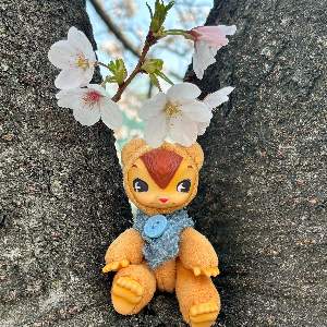 クリームパンダ