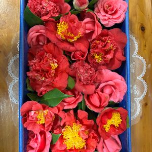 花のある暮らし,猫大好き,小さな庭の画像