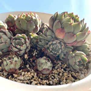 青空,青空の下,GS映え,ベランダの画像