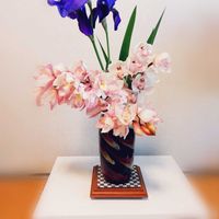 シンビジウム,ジャーマンアイリス(紫),株分け,花のある暮らし,いただきものの画像