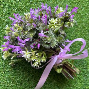 リース,テラス,家庭菜園,ベランダ,玄関アプローチの画像