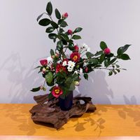 スプレー菊,和風,いけばな,生花,花のある暮らしの画像