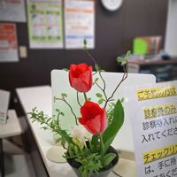 山野草,生け花,季節の花の画像