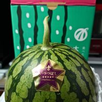 スイカ,熊本の画像