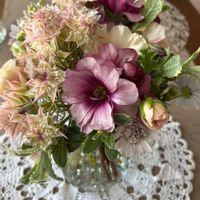 オリーブ,コデマリ,セリンセマヨール,セルリア,セルリアの画像