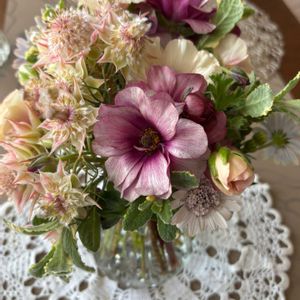 オリーブ,コデマリ,セリンセマヨール,セルリア,セルリアの画像