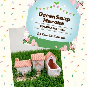 イベント出店,テラコッタ鉢,#多肉植物,手作りテラコッタ,tsuki＆miiwa succulentの画像