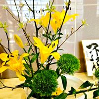 キウイ,ヒメキンギョソウ,スカシユリ,クロモジ,テマリソウ(手毬草)の画像